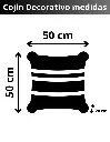 COJIN BIG BONANZA CARACTERISTICAS PIEL ISOMETRICO.webp